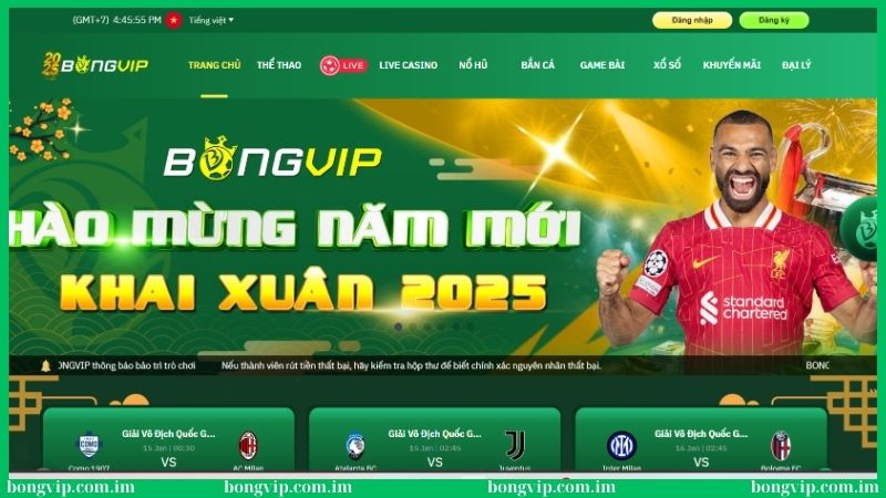 Bongvip Howgossi - Link Nhà Cái Bóng Đá Online VIP 2025 40 Bongvip là thiên đường giải trí dẫn đầu xu hướng